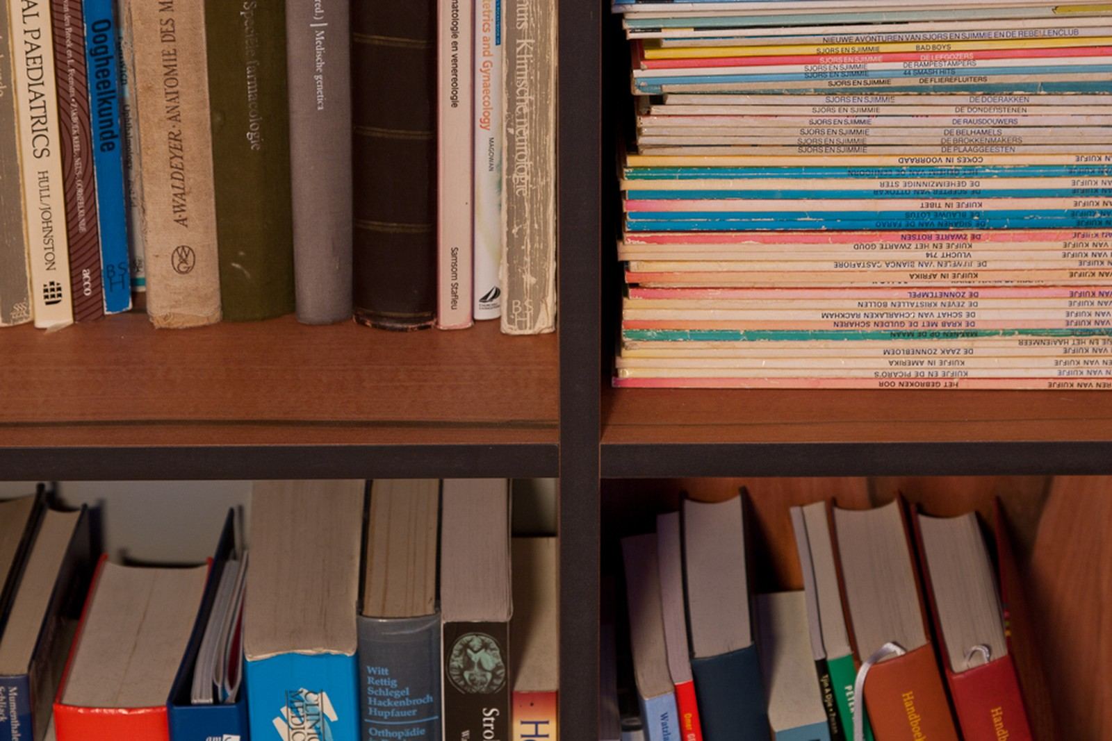 Close-up van twee vakken in tyneo fineer, gevuld met boeken.